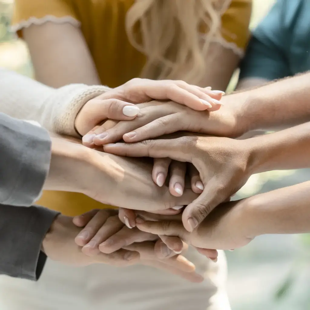 Foto de la página web de Noboli para la sección de academia. Manos de varias personas.