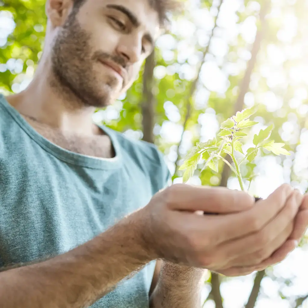 Foto de la página web de Noboli para la sección nosotros. Persona sujetando una planta.