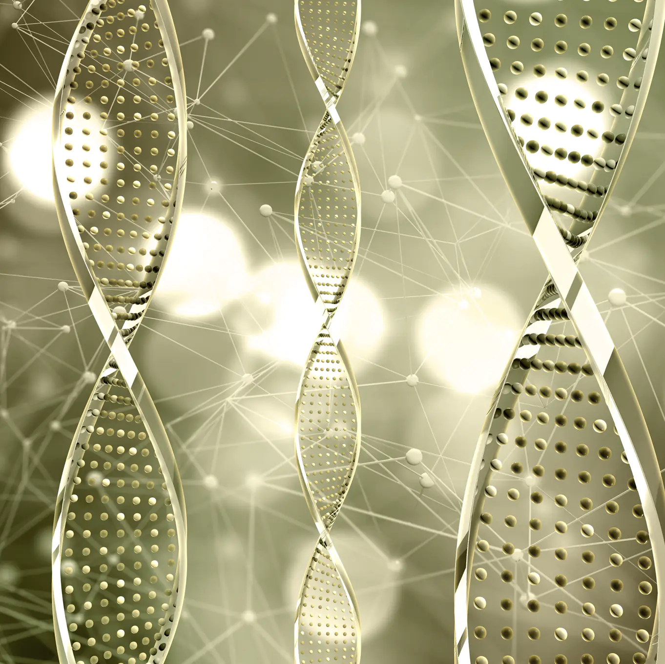 Foto de la página web de Noboli para la sección de genética. ADN.